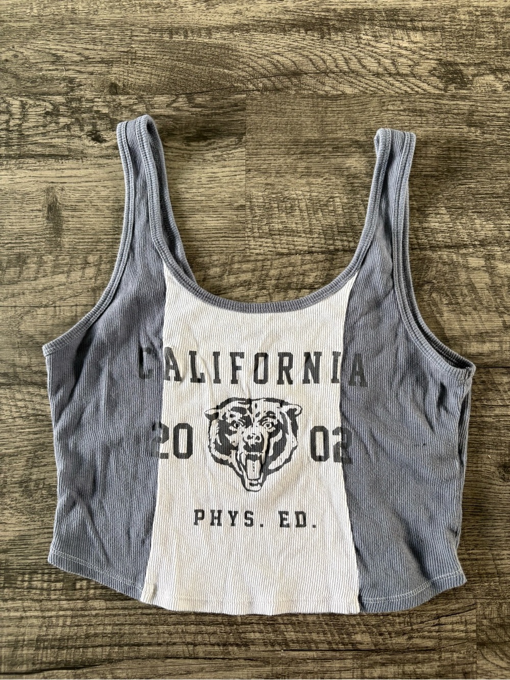 Hollister California Ribbed Tank Top Bear Graphic Crop Top Size L ColorBlock Top